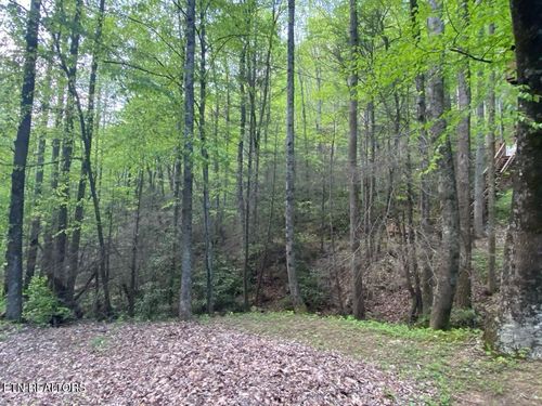 26 Alpine Dr, Sevierville, TN, 37876 | Card Image