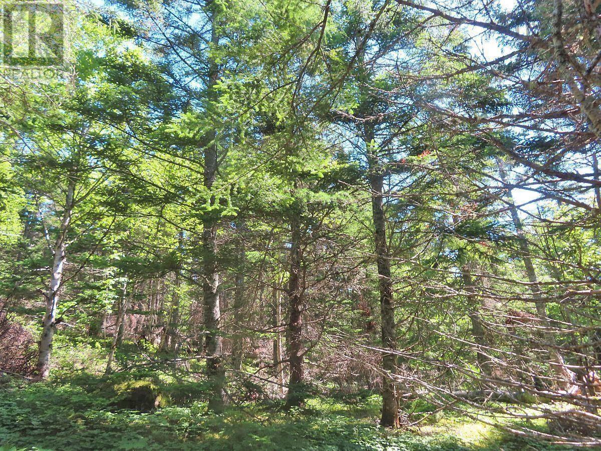 Land in Upper Grand Mira 5