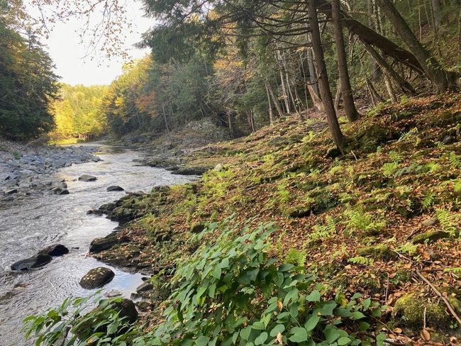1457 Rockingham Rd, House other with 4 bedrooms, 1 bathrooms and null parking in Bellows Falls VT | Image 18