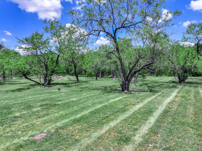 230 Woodbluff Ct, Home with 0 bedrooms, 0 bathrooms and null parking in Royse City TX | Image 15