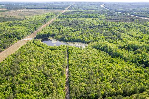 21701 Highway 441, McIntyre, GA, 31054 | Card Image