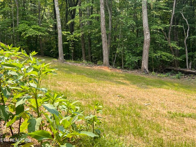437 Clint Williams Rd, House other with 3 bedrooms, 2 bathrooms and null parking in Rutledge TN | Image 22