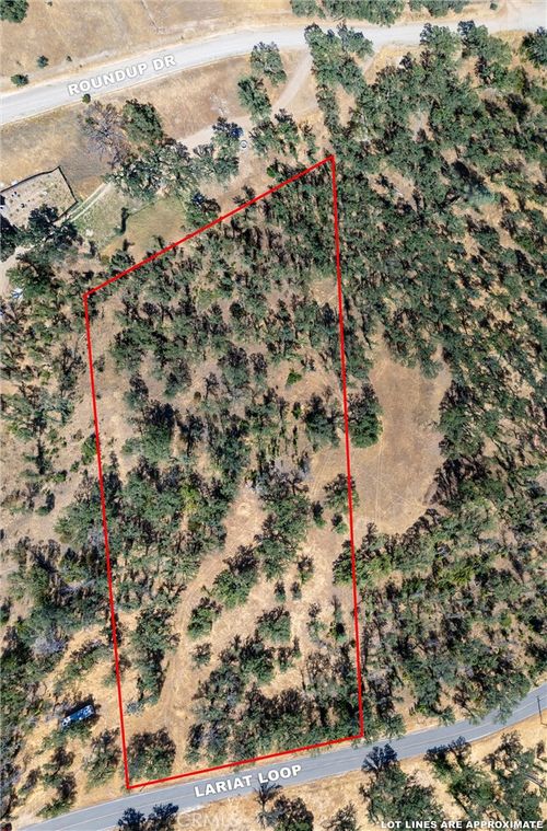 16398 Lariat Loop, Corning, CA, 96021 | Card Image