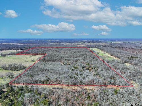 000 County Road Ne 2160, Mount Vernon, TX, 75457 | Card Image