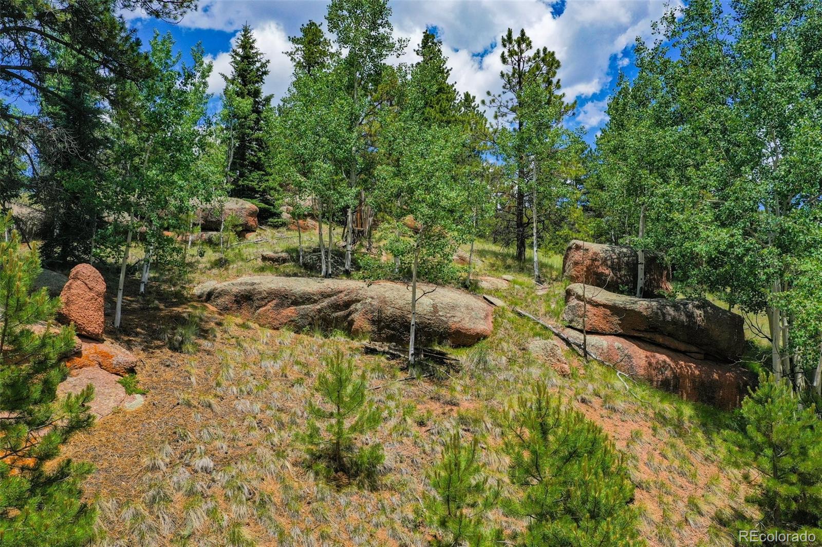Land in Florissant 4