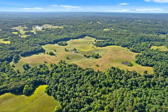0 Happy Hills Acre Rd, Home with 0 bedrooms, 0 bathrooms and null parking in Woodlawn TN | Image 31