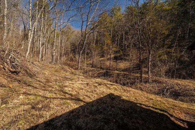 2077 Deerfield Valley Rd, House other with 2 bedrooms, 1 bathrooms and null parking in WEST AUGUSTA VA | Image 34