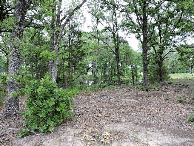 0 E Highway 175, Home with 0 bedrooms, 0 bathrooms and null parking in Mabank TX | Image 8