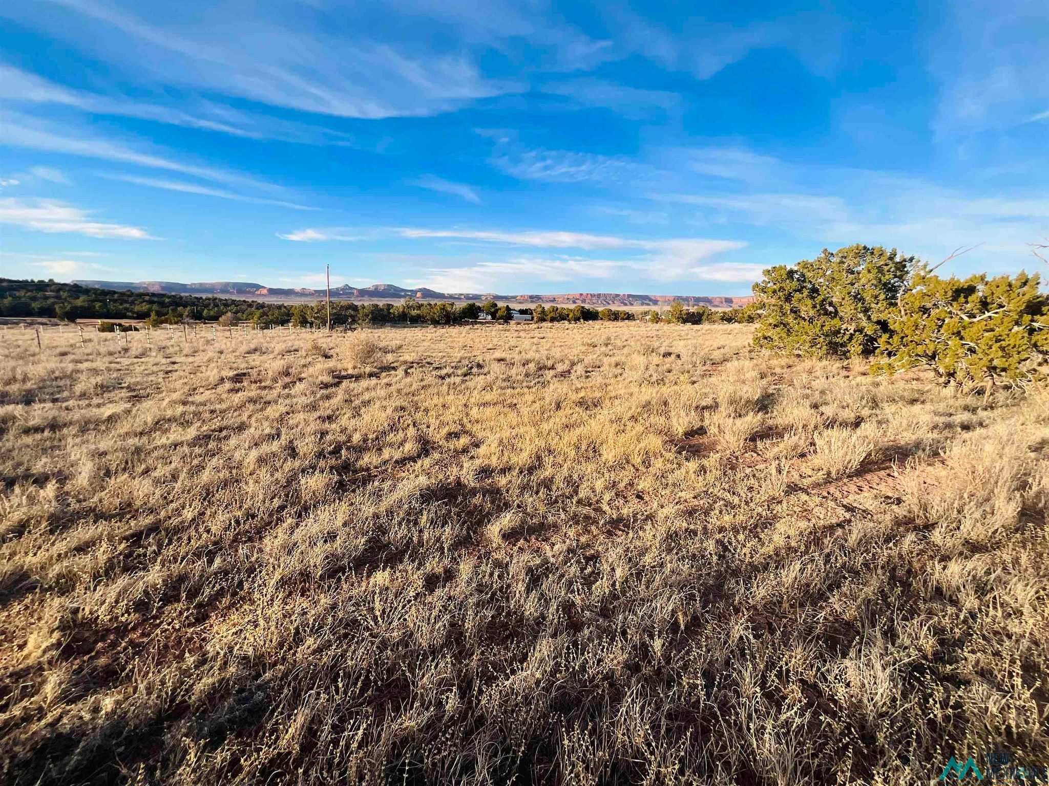 Land in Jamestown 2
