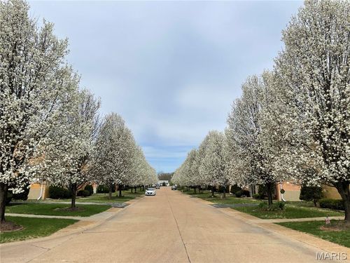 apt-3-4244 Fatima Dr, Saint Louis, MO, 63123-7533 | Card Image