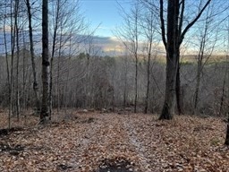 Land in Warren 3