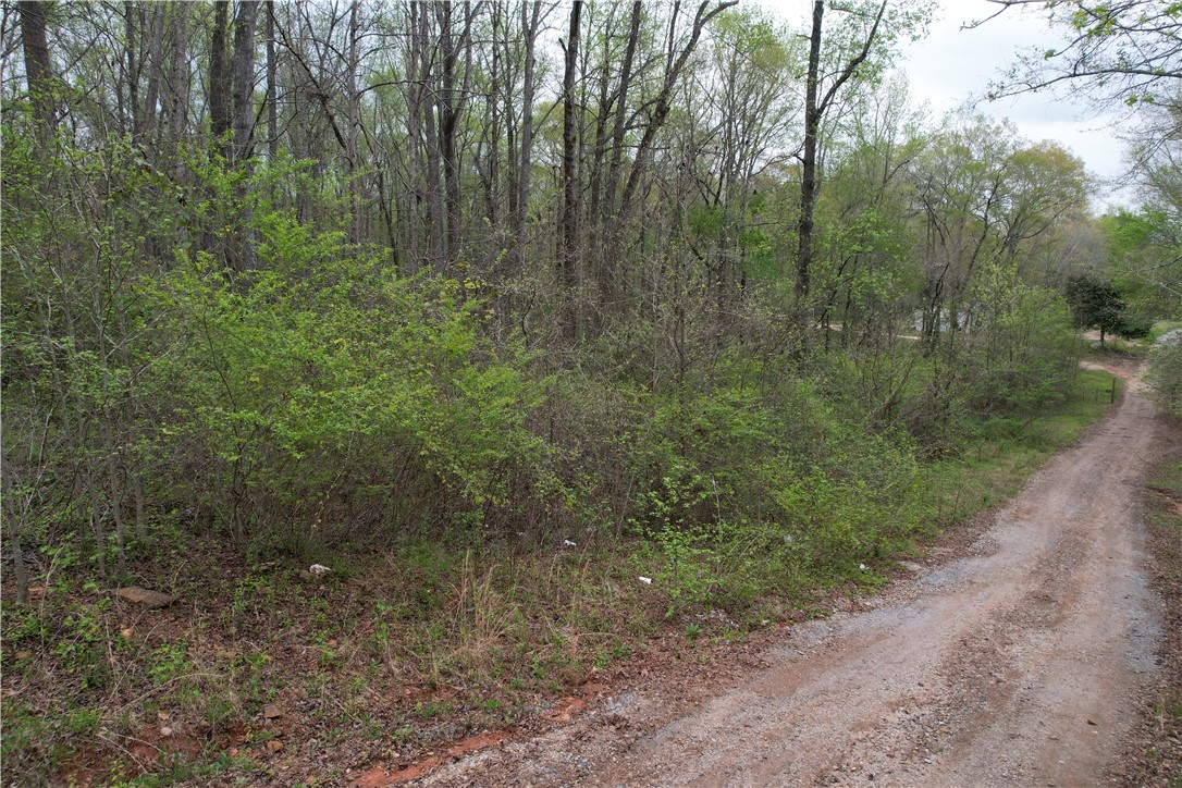 Land in Anderson 4