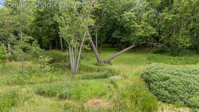 51-web-or-mls-DJI_20250630121822_0131_D.jpg | Image 49