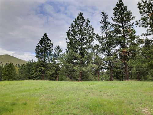 3 Rosie Ln, Jefferson City, MT, 59638-6423 | Card Image