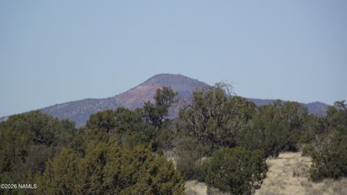 3368 E Antelope Vis, Williams, AZ, 86046 | Card Image