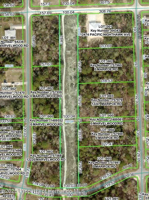 0 Pacific Nighthawk Ave, Brooksville, FL, 34614 | Card Image