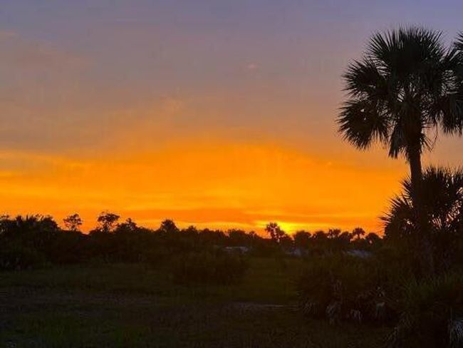 1303 Cabbage Ln, Home with 0 bedrooms, 0 bathrooms and null parking in Okeechobee FL | Image 23