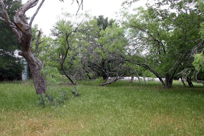 View of yard | Image 17