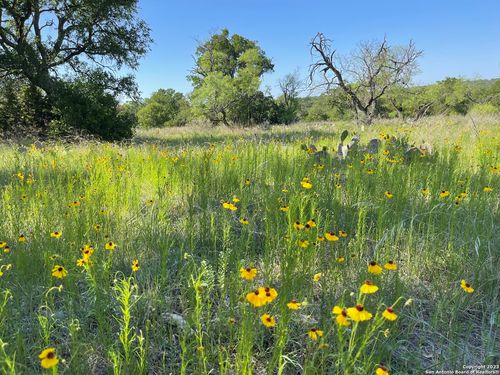 101 Whitetail Trl, San Saba, TX, 76877-2242 | Card Image