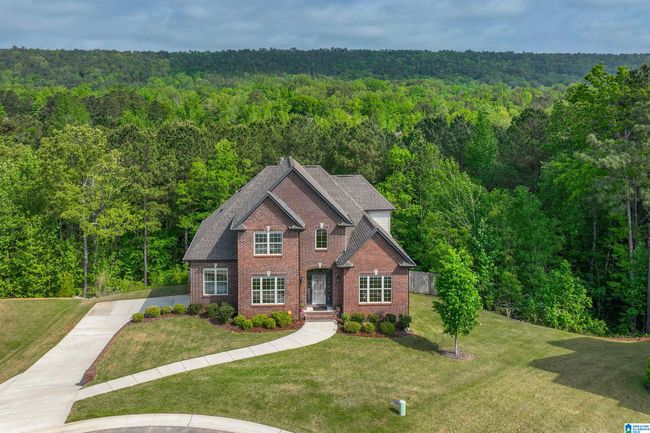 1025 Willow Branch Trl, House other with 4 bedrooms, 5 bathrooms and null parking in CHELSEA AL | Image 57