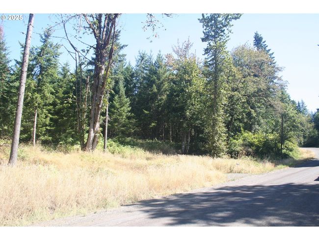 3647 Briar Knob Loop Ne, Home with 0 bedrooms, 0 bathrooms and null parking in Scotts Mills OR | Image 21