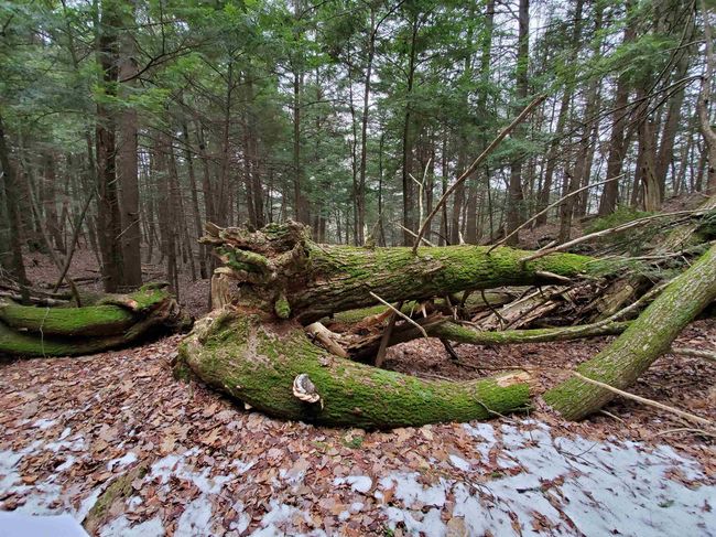 00 Berry Farms Rd, Home with 0 bedrooms, 0 bathrooms and null parking in Bristol NH | Image 18