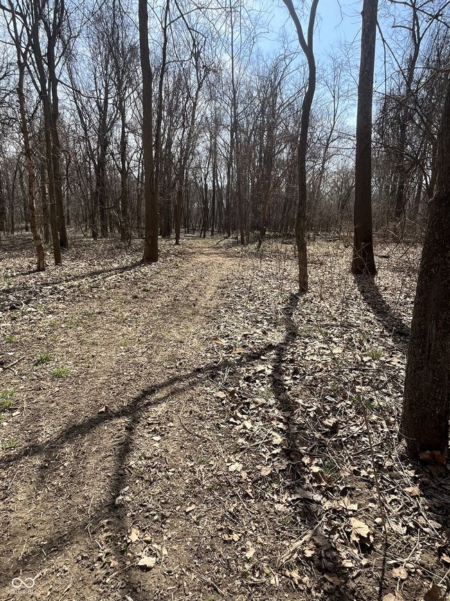 0 River Road Dr, Home with 0 bedrooms, 0 bathrooms and null parking in Columbus IN | Image 12