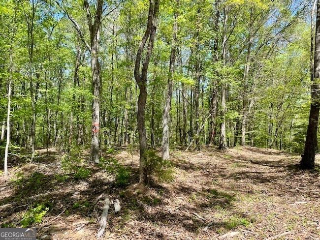 1276 Hornets Bridge Rd, Home with 0 bedrooms, 0 bathrooms and null parking in Elberton GA | Image 18