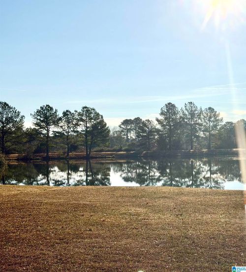 233 Wynlake Dr, ALABASTER, AL, 35007-7621 | Card Image