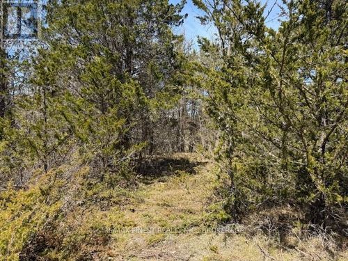 590 Love Road, Loyalist (Lennox and Addington - South), ON, K0H2H0 | Card Image