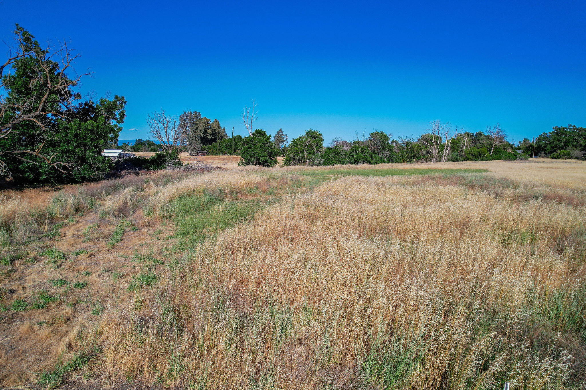 Land in Orland 3