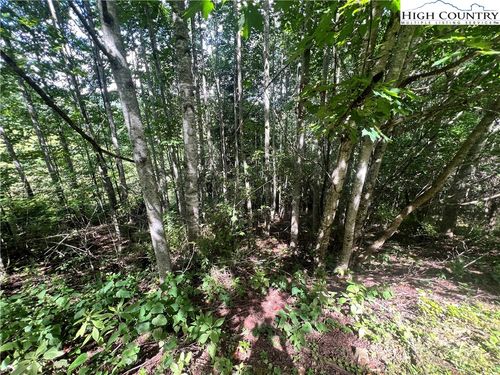 5 Old Barn Rd, Vilas, NC, 28692 | Card Image