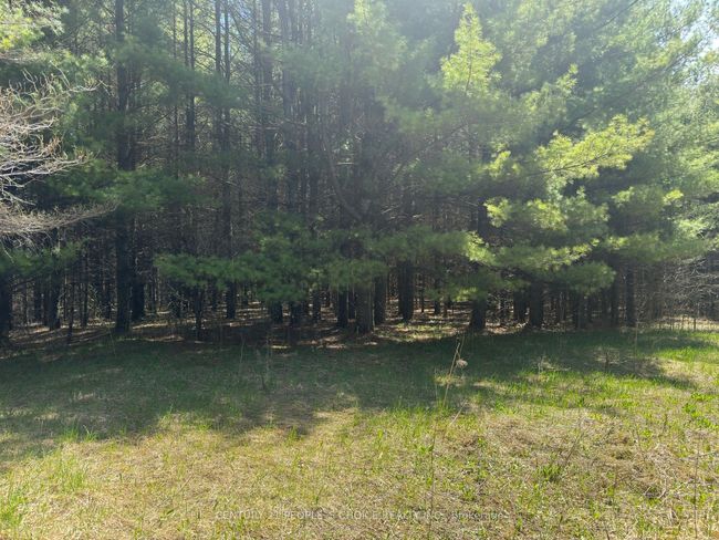 6081 Hwy 89, Clifford Road, Home with 0 bedrooms, 0 bathrooms and null parking in Minto ON | Image 14