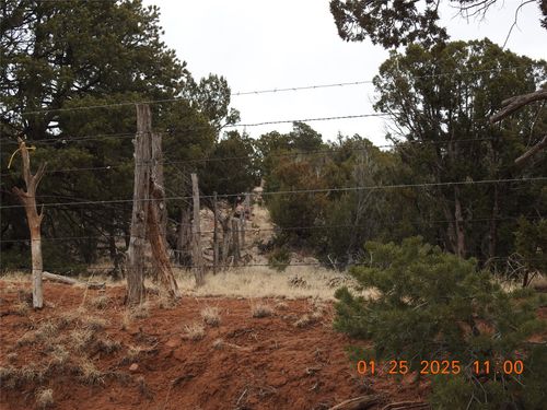 1 Cr B29a, Villanueva, NM, 87583 | Card Image