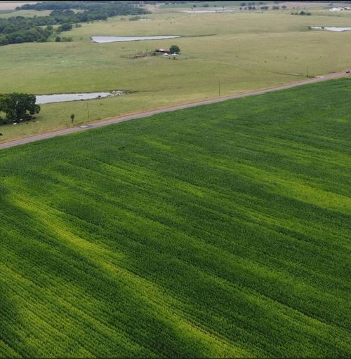 TBD Fm 667, Italy, TX, 76651 | Card Image