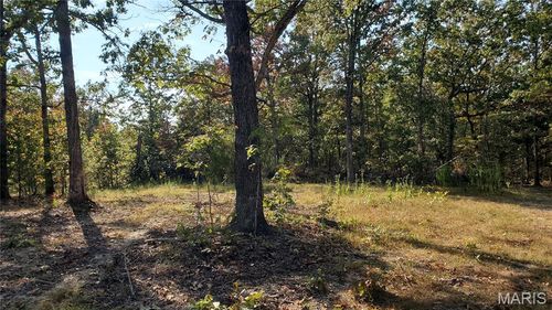 00 County Road 6030, Salem, MO, 65560 | Card Image
