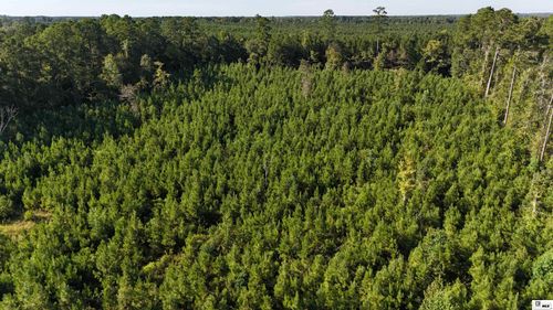 000 Alton Auger Rd, Marion, LA, 71260 | Card Image