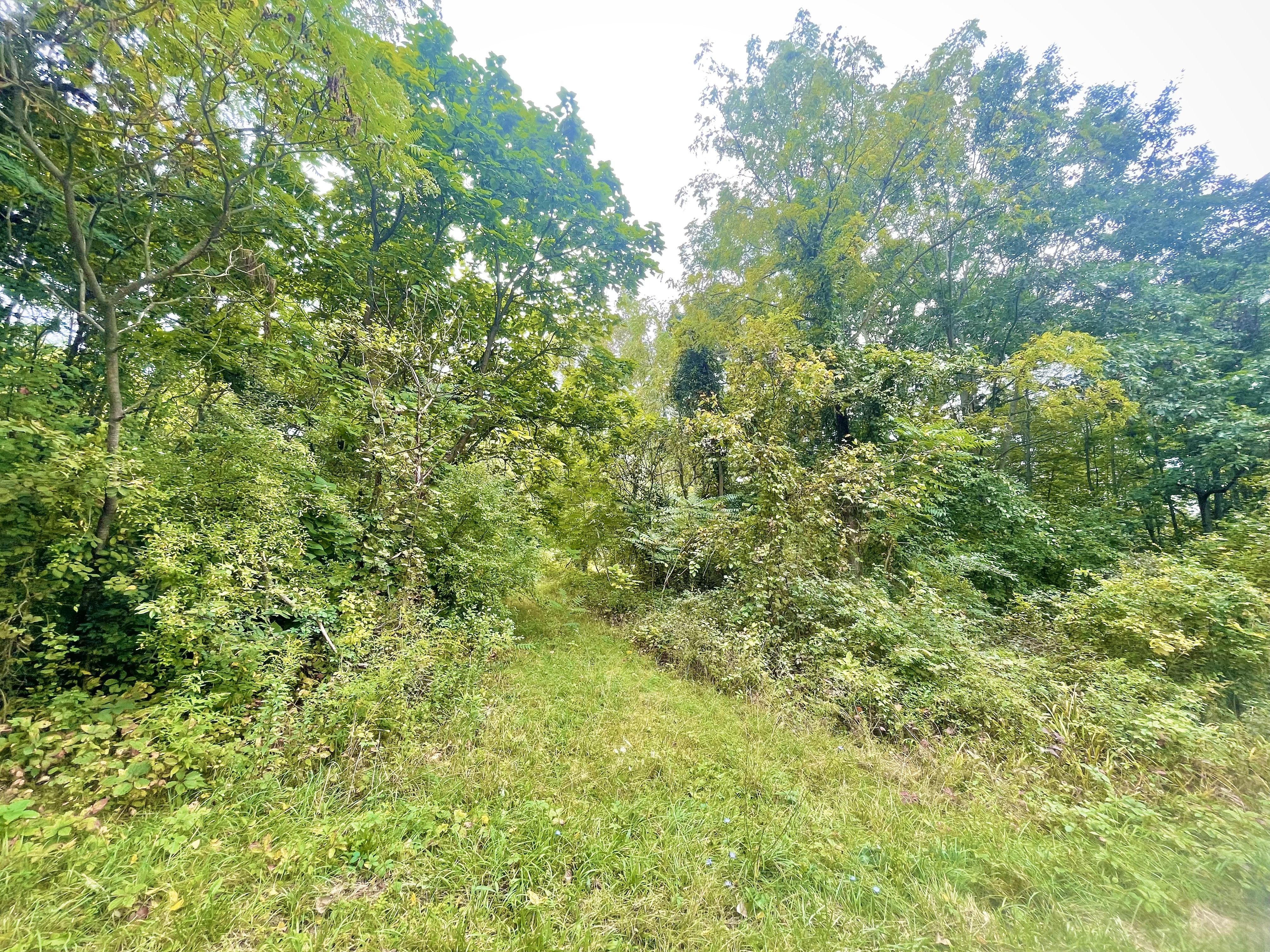Hivon Rd, Carleton, MI 48117