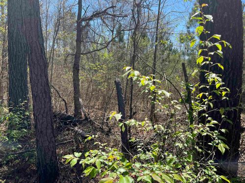 0000 Everitte Rd, Marshall, TX, 75672 | Card Image