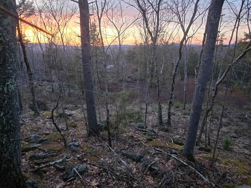 Map 104 Berry River Road, Barrington, NH, 03825 | Card Image