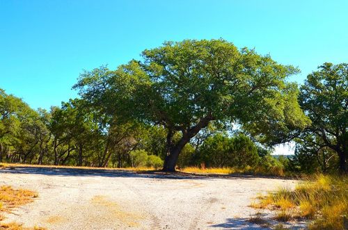 K12103 Custers Cir, Horseshoe Bay, TX, 78657 | Card Image