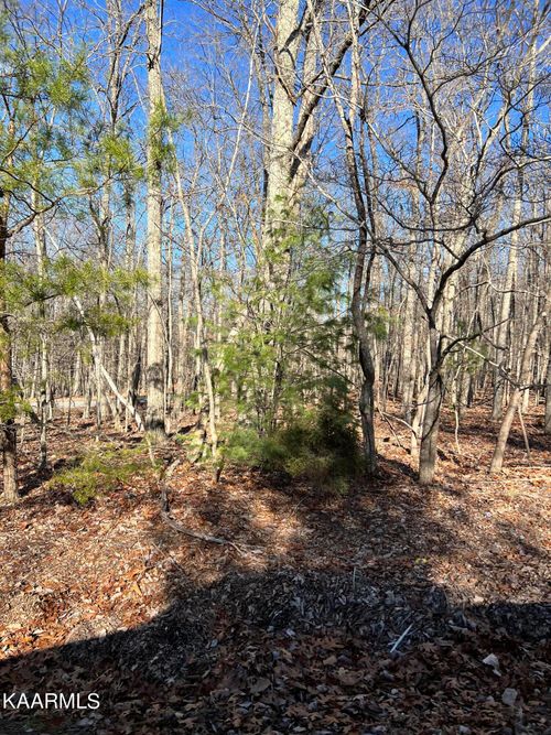110 Markham Ln, Crossville, TN, 38558-2654 | Card Image
