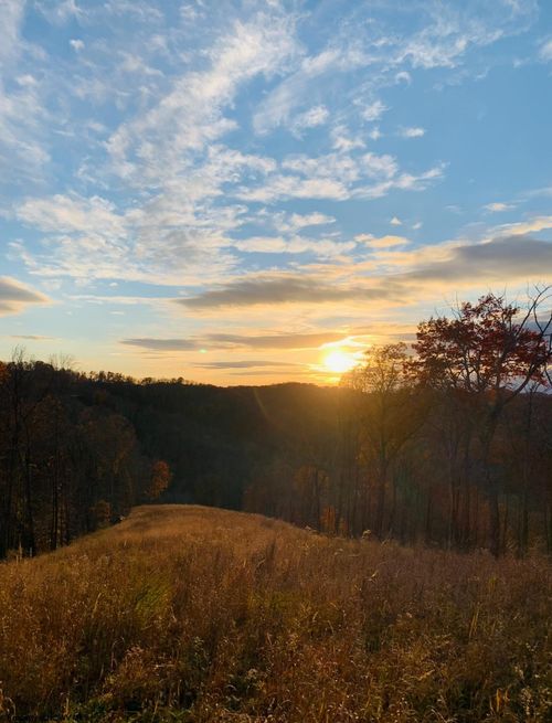 TBD Grass Run Rd, Salem, WV, 26426 | Card Image