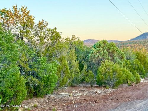 6 Co Rd 3086 1.15 Acres, Vernon, AZ, 85940 | Card Image