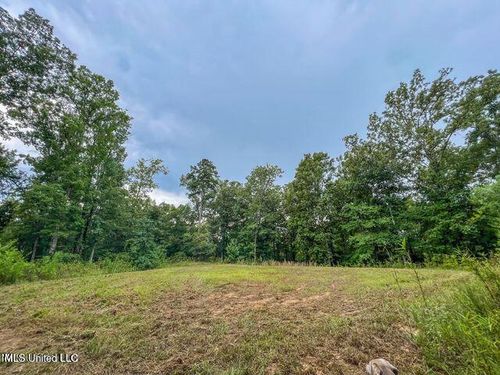 0 Hurricane Rd, Utica, MS, 39175 | Card Image