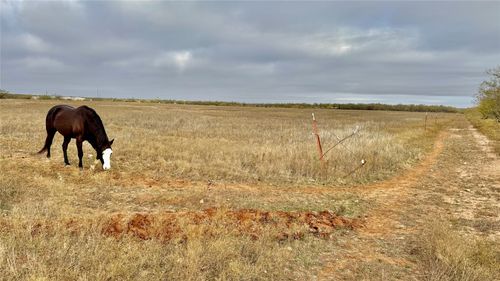 TBD Iberis Rd, Abilene, TX, 79606 | Card Image