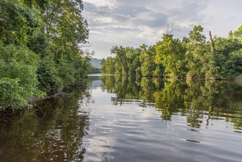 12 Fork Farm Rd, Clifton Forge, VA, 24422 | Card Image