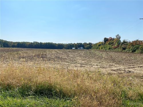 V/L Schintzius Road, Eden, NY, 14057 | Card Image