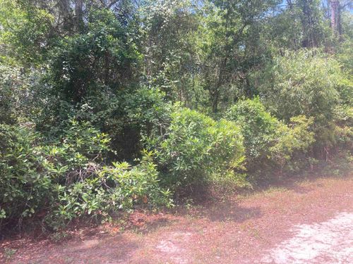 430 Palm Way, Georgetown, FL, 32139-2748 | Card Image
