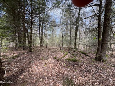 Lot19 Skyline Ridge Rd, Home with 0 bedrooms, 0 bathrooms and null parking in Becket MA | Image 2